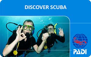Discover Scuba Diver